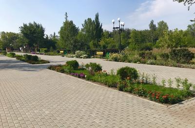 В Коркино парк культуры и отдыха имени Федько постепенно превращается в  народный сад | Урал-пресс-информ