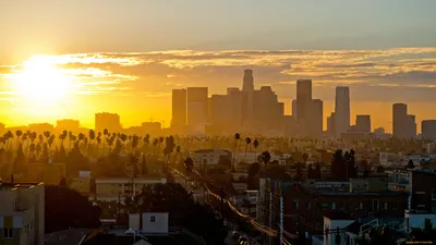 Город Лос-Анджелес - телеграм чат, как добраться, что посмотреть, аллея  слав и другие достопримечательности, погода по месяцам