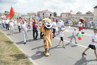 Островец является точкой роста нашей страны – депутат Свилло