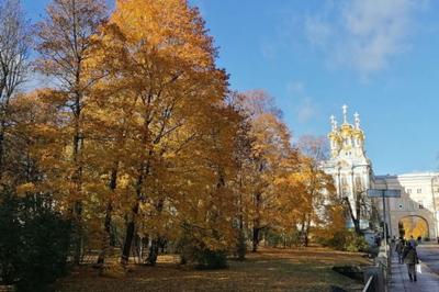 Вокзал Царское Село: адрес, расписание электричек, фото