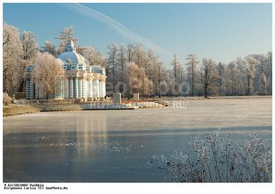 Район Славянка в Санкт-Петербурге - подробный гид по району на портале  недвижимости.