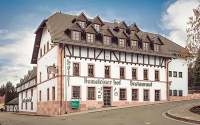 Отель Ramsteiner Hof Рамштайн-Мизенбах, Германия – забронировать сейчас,  цены 2023 года
