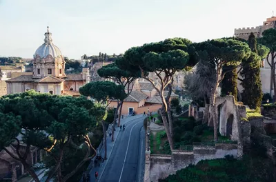 Колизей Рим Город Римский - Бесплатное фото на Pixabay - Pixabay