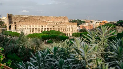 Рим без людей 🧭 цена экскурсии €300, 23 отзыва, расписание экскурсий в Риме