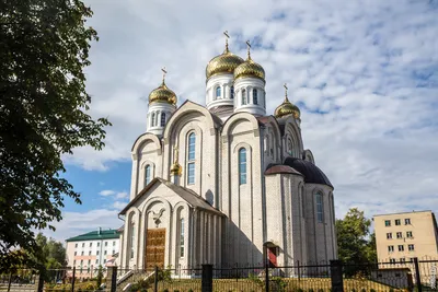 Торговый центр «Березки» в Светлогорске - Официальный сайт