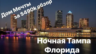 Тампа Штат Флорида Города Небоскребы Город Пальма Copyspace Вертикальные  Cover — стоковые фотографии и другие картинки Тампа - iStock