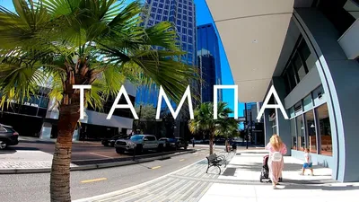 Города Тампа Штат Флорида — стоковые фотографии и другие картинки Тампа -  Тампа, Линия горизонта, Флорида - США - iStock