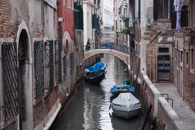Венеция будет взимать плату за вход в город