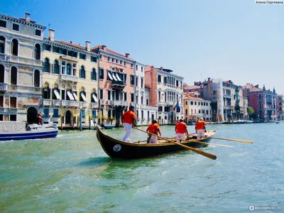 Отдых в Венеции: как добраться, где остановиться и достопримечательности,  которые обязательно стоит посмотреть самостоятельно — Яндекс Путешествия