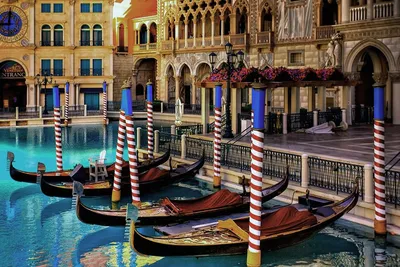 Венеция Город Воды — стоковые фотографии и другие картинки Без людей - Без  людей, Большой город, Венеция - Италия - iStock
