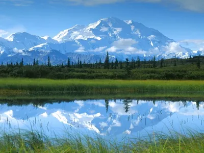 Самые высокие горы в США и Северной Америке: рейтинг, название, описание,  высота, фото