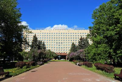 М-Отель, Россия, Санкт-Петербург — отзывы туристов, туры, фото, видео,  забронировать онлайн