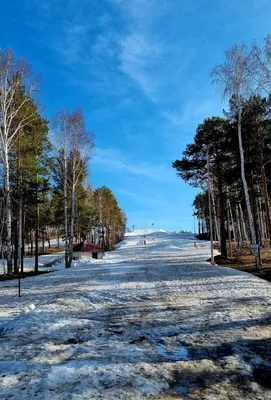 Гостиница уктус Екатеринбург фото фотографии