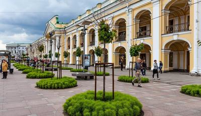 Гостиный двор в Санкт-Петербурге