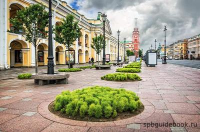 Рай в центре Петербурга: что же находится внутри Гостиного Двора? |  ОБЩЕСТВО | АиФ Санкт-Петербург