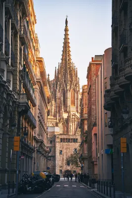 Достопримечательности Барселоны: Готический квартал | spain.info