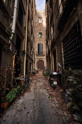 Готический квартал (Barri Gòtic) - Барселона, Испания» — Яндекс Кью