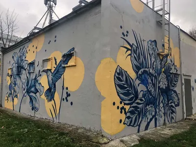 Новые граффити в Минске: зубр, аист и вазы с цветами - KP.RU
