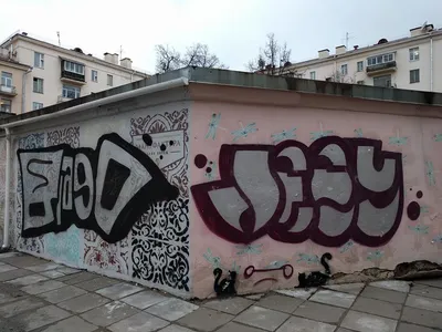 Vulica Brasil: в Минске появляются трубы из веток, граффити с аистом и  яркие фигуры на «Корпусе» - KP.RU