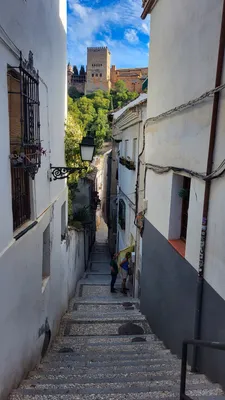 Альгамбра, Гранада: заказать билеты и экскурсии | GetYourGuide