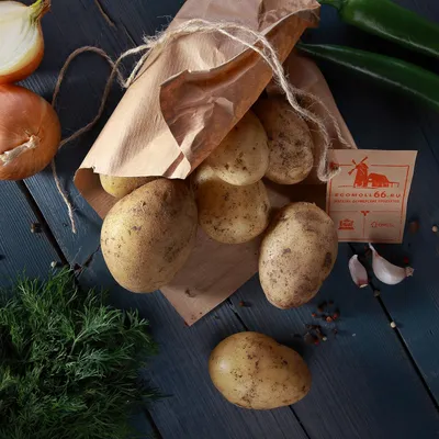 Урожай 2022год Картофель сорта Бельмонда и Гранада - YouTube
