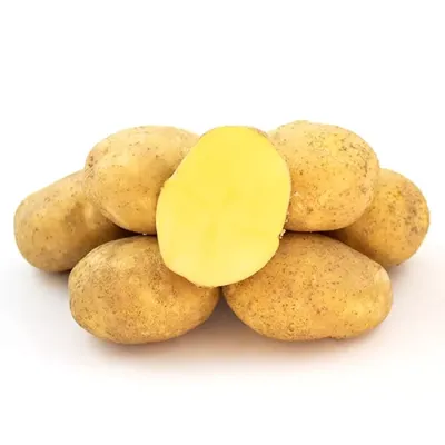 Продам картофель сорт Гранада, купить картофель сорт Гранада, Херсонская  обл — Agro-Ukraine
