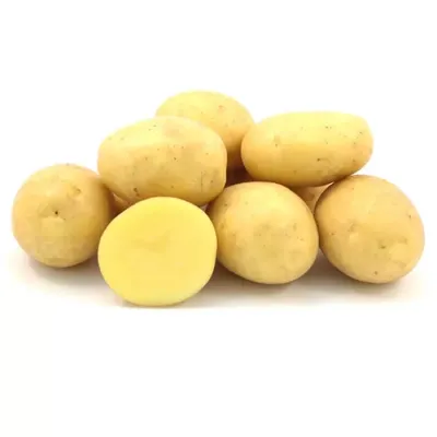 Как вырастить ранний картофель: особенности посадки, ухода и подкормки —  SonceSad Как вырастить ранний картофель: особенности посадки, ухода и  подкормки — SonceSad