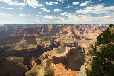 View Of Breathtaking Grand Canyon At Sunrise, USA Stock Photo, Picture and  Royalty Free Image. Image 16951897.