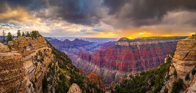 USA, Arizona, back view of man with American flag enjoying view of Grand  Canyon National Park