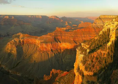The World Famous of Grand Canyon National Park, Arizona,USA Stock Image -  Image of power, gnarled: 30806707