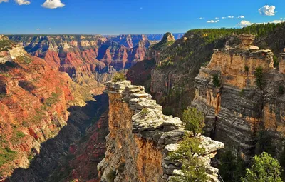 https://www.nps.gov/grca/planyourvisit/grand-canyon-national-park-public-health-update.htm