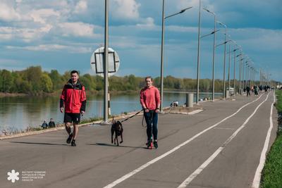 Аренда беседок и домиков для отдыха - Парк Печерские Пески