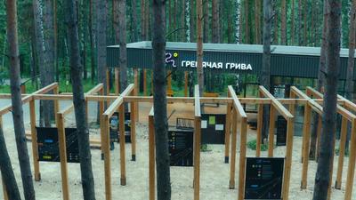 Удачная лестница на Гремячую гриву открылась в Красноярске