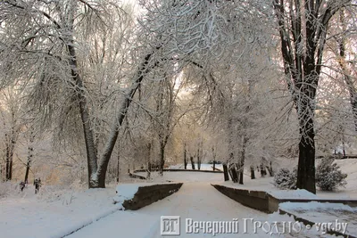 Какой была зима в Гродно и когда ждать потепление?