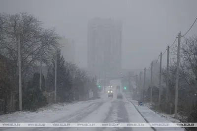 Зимний Гродно - один из красивейших городов Беларуси | Июньский кот | Дзен