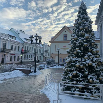 Зимний Гродно - один из красивейших городов Беларуси | Июньский кот | Дзен