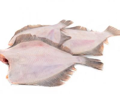🐟 Купить белугу рыбу в Самаре: цена за 1 кг от 510 руб - интернет-магазин  Дикоед