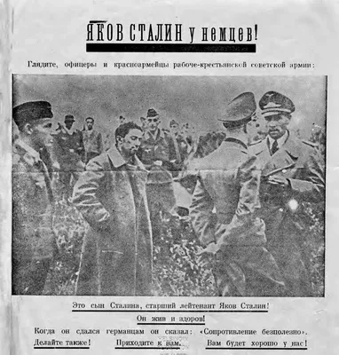 Я солдата на фельдмаршала не меняю!»: почему Сталин не помог своему сыну  освободиться из плена — РТ на русском
