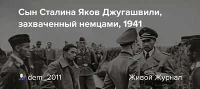 Адекватно ли отражены в предпраздничной документалистике судьбы советских  военнопленных периода начала войны?