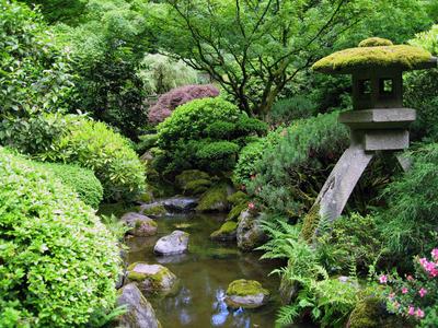Гармония японского сада на шести сотках - Газета.Ru