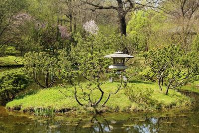 Файл:Японский сад в Ботаническом саду.jpg — Википедия