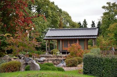 На фестивале клёна в Ботаническом саду откроют для посещения Японский сад |  Blog Fiesta