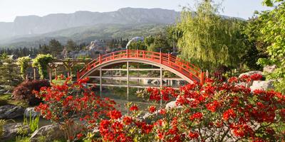 Японский сад “Шесть чувств” в Ялте: фото, цены, отзывы, как добраться