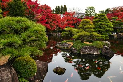 Зелёная Москва: Настоящий Японский сад (GreenWord.ru)