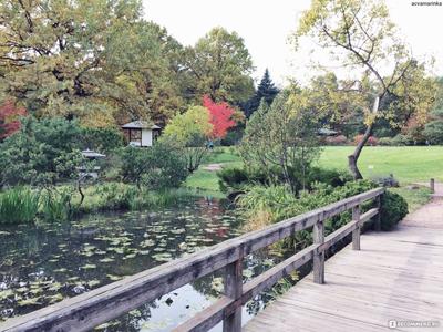 Японский сад в Ботаническом саду, Москва - «Островок для релакса и  умиротворения. Или как японцы чувствуют прекрасное.» | отзывы