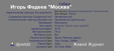 Глава СПЧ Фадеев призвал аккуратнее подходить к вопросу запретов в сфере  абортов