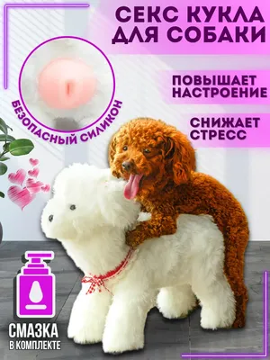 Игрушка для собаки \"Два сердца\" с ленточками, 20х4х2,5 см. - купить с  доставкой по выгодным ценам в интернет-магазине OZON (297000599)
