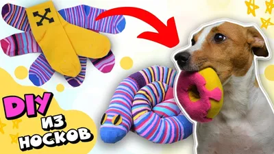 Плюшевые игрушки собаки разных пород | Милые собаки, Игрушки для собак,  Собаки