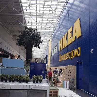 В Новосибирске в «МЕГЕ» могут открыть магазин бывшего производителя IKEA |  ОБЩЕСТВО | АиФ Новосибирск