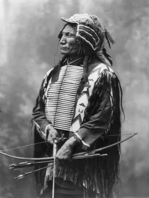 Индейцы мая и американские индейцы.» — создано в Шедевруме